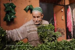 Image du Maroc Professionnelle de  Un des anciens vendeurs de naanah (Menthe) prépare pour un client une botte de menthe fraiche et de plantes aromatiques à l’entrée du souk Semmarine de Marrakech, le 11 Décembre 2011. Jadis quand les autocars avaient leur terminus sur la place Jemaa Al fana, lors d’un court ou long séjour dans la ville ocre, la plupart des visiteurs se ravitaillaient en menthe fraiche et en plantes aromatiques en guise de cadeau (barouk) de Marrakech. De nombreux commerçants étaient installés à l’entrée du Souk Semmarine. Ils vendaient aussi ces mêmes plantes séchées par les infusions. (Photo / Abdeljalil Bounhar)

 